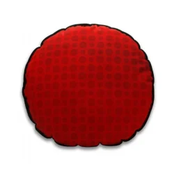 Pokémon Kudde Pokéboll
