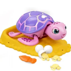 Rescue Turtle Rosa